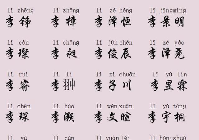 李姓男孩起名