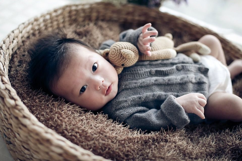 杨姓龙年男孩起名