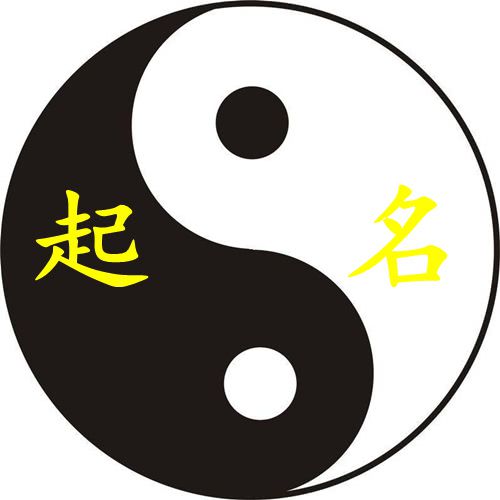 双胞胎男孩起名大全