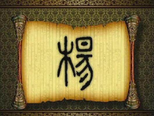 男孩起名姓杨胜字辈有哪些寓意美好的名字