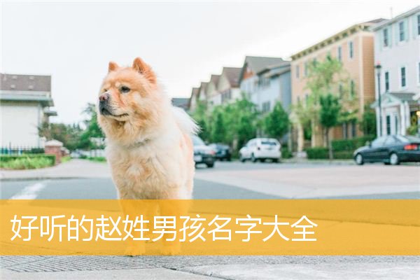 赵起名字大全男孩2021有哪些？宝宝起名有什么讲究