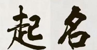 给龙宝宝起名有哪些方法？有哪些名字参考？有什么注意事项？