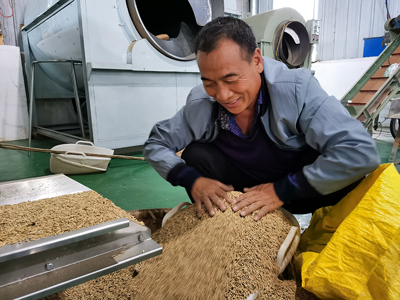 免费粮食公司起名字大全