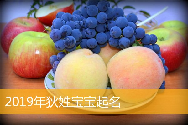 狄姓蛇宝宝起名