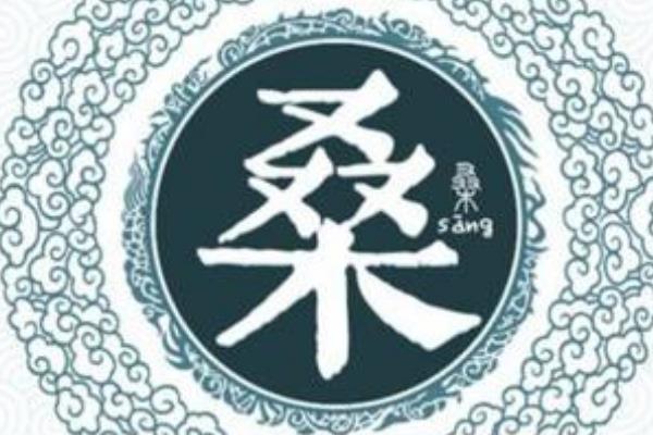 马年桑宝宝起名大全，给宝宝一个运势昌隆的好名字