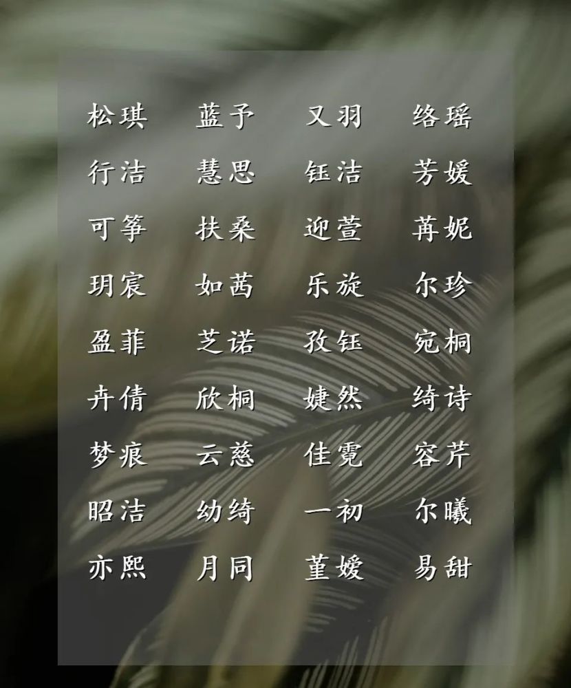 插入编辑器