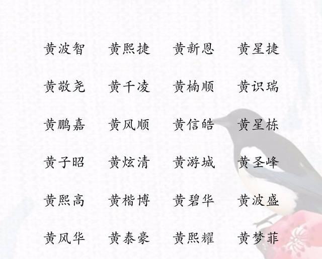 黄姓兔年男宝宝起名早知道