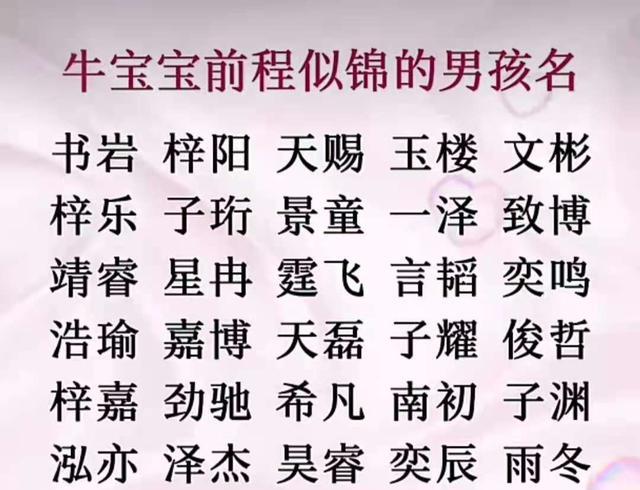 牛宝宝男孩起名