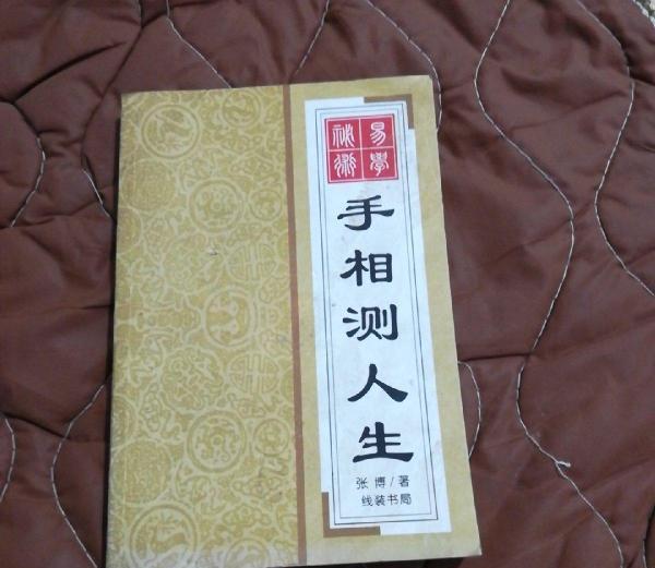 测手相免费测试